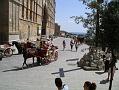 Palma 14